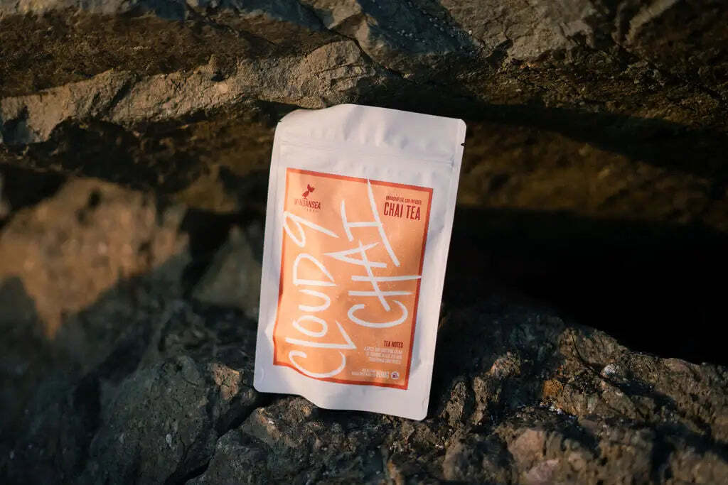 a bag of food sitting on top of a rock